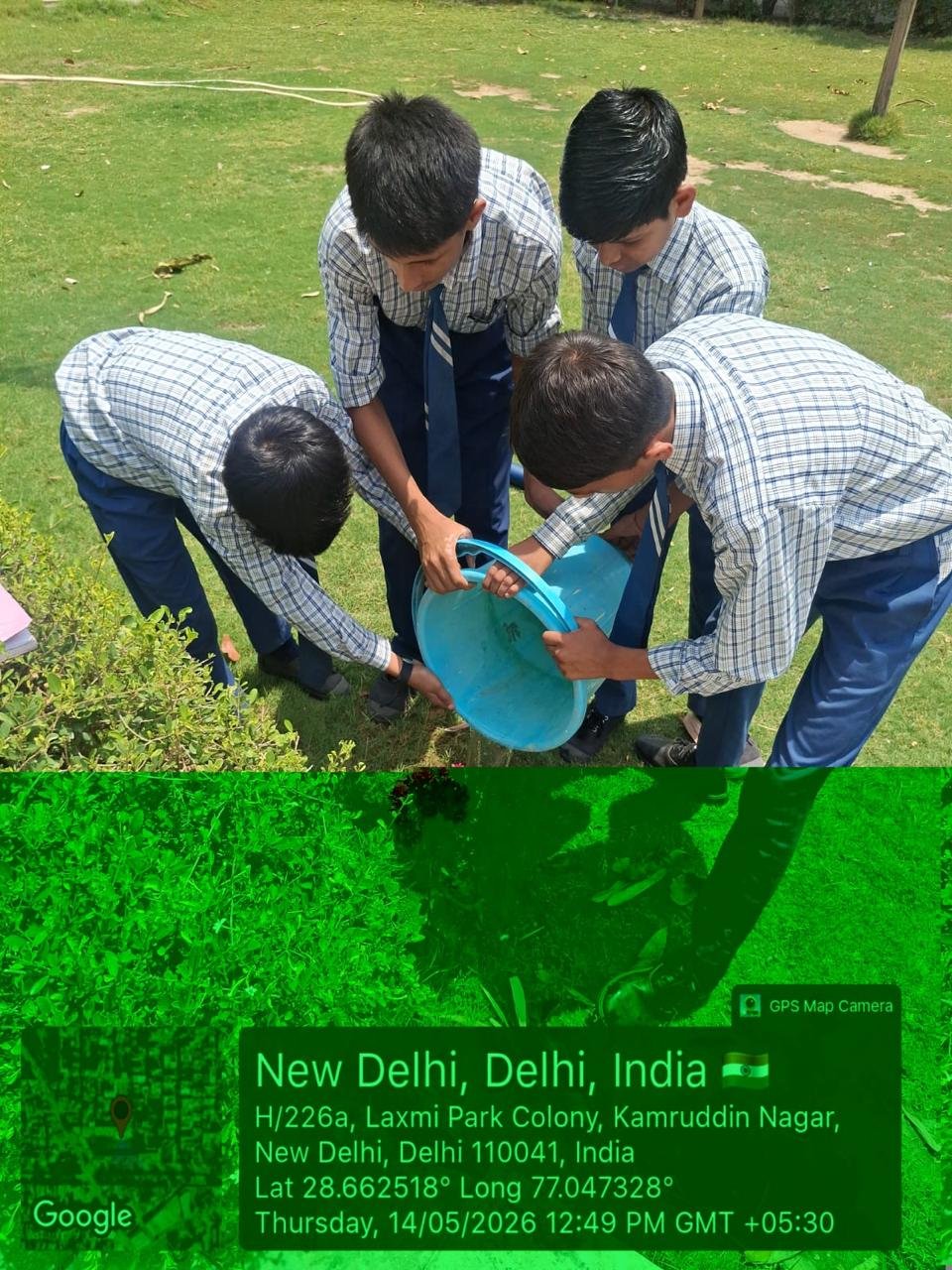 Tree Plantation